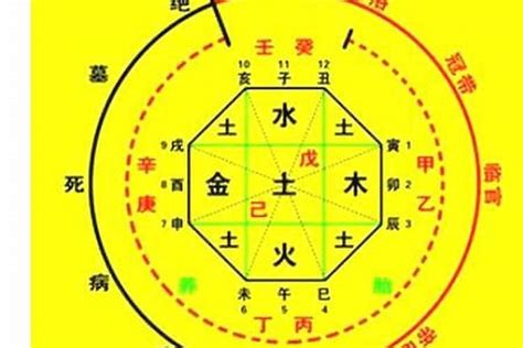 免費八字排盤喜用神|生辰八字算命、五行喜用神查詢（免費測算）